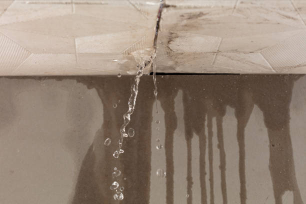 Professional Structural Drying technician working in Orlinda, TN